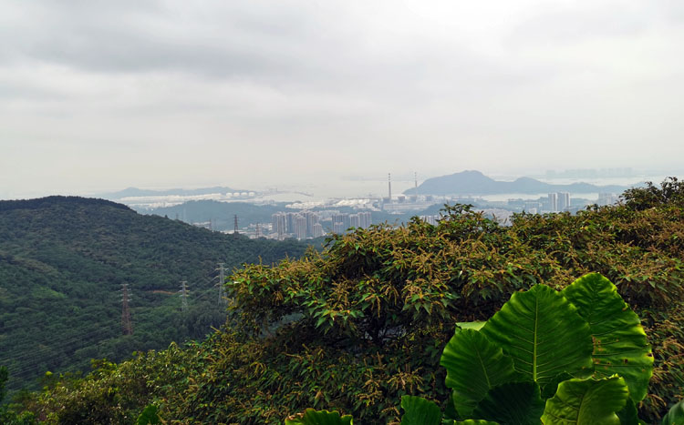 激扬青春、奋勇攀登登山活动